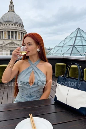 Ariel