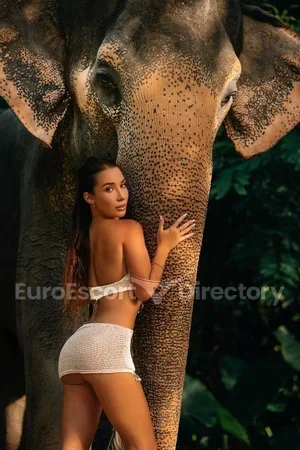 Ann Euro Escort