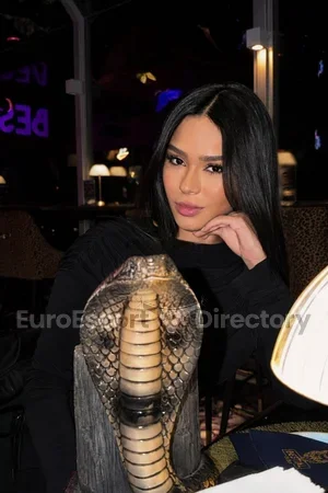Tasha Euro Escort