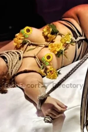 Mahya Shibari