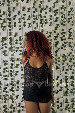 Jane Euro Escort