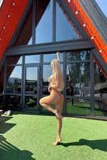 Dasha