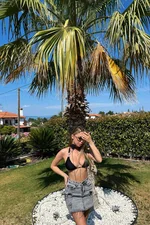 Elisa
