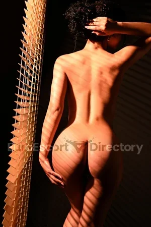 Noah Pires