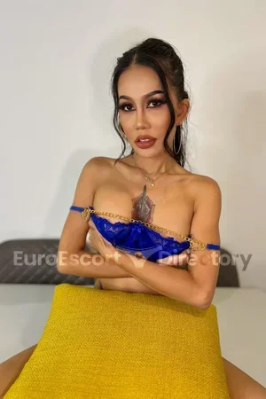 Noki Pornstar Euro Escort