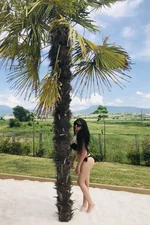 Leq