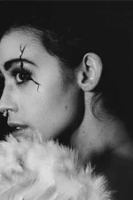 Fox Bellatrix Darling