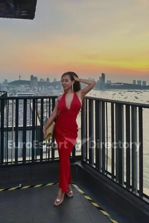 Aimee Pornstar Euro Escort