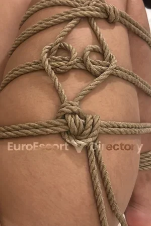 Mahya Shibari